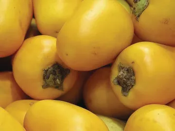 Carotena